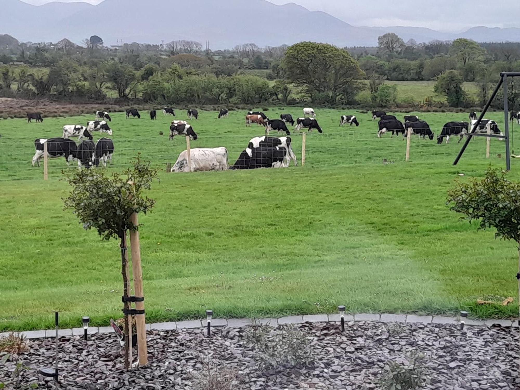 Inch View Lodge Milltown  Exterior photo